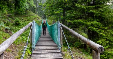 „Uff d’r Alp“ Natur- Erlebnisweg Station Seealpe